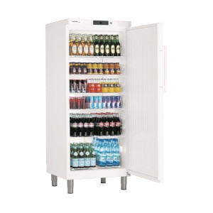 Kühlschrank GKv 5710